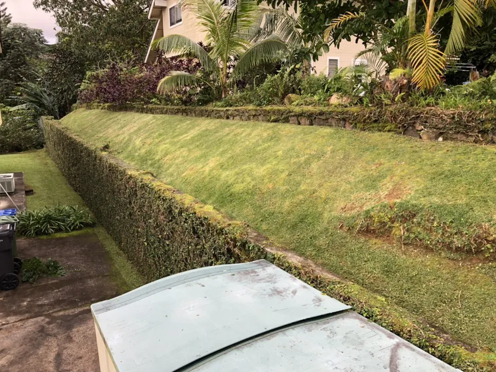 Reliable landscape installation for beautiful yards across Honolulu, HI - AZ Yard Services