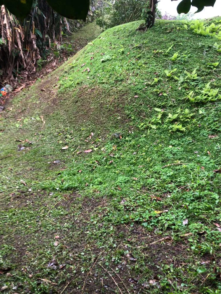 Expert outdoor landscaping in Honolulu, HI - AZ Yard Services