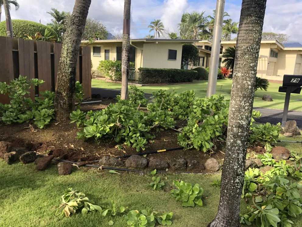 Expert yard maintenance in Honolulu, HI - AZ Yard Services