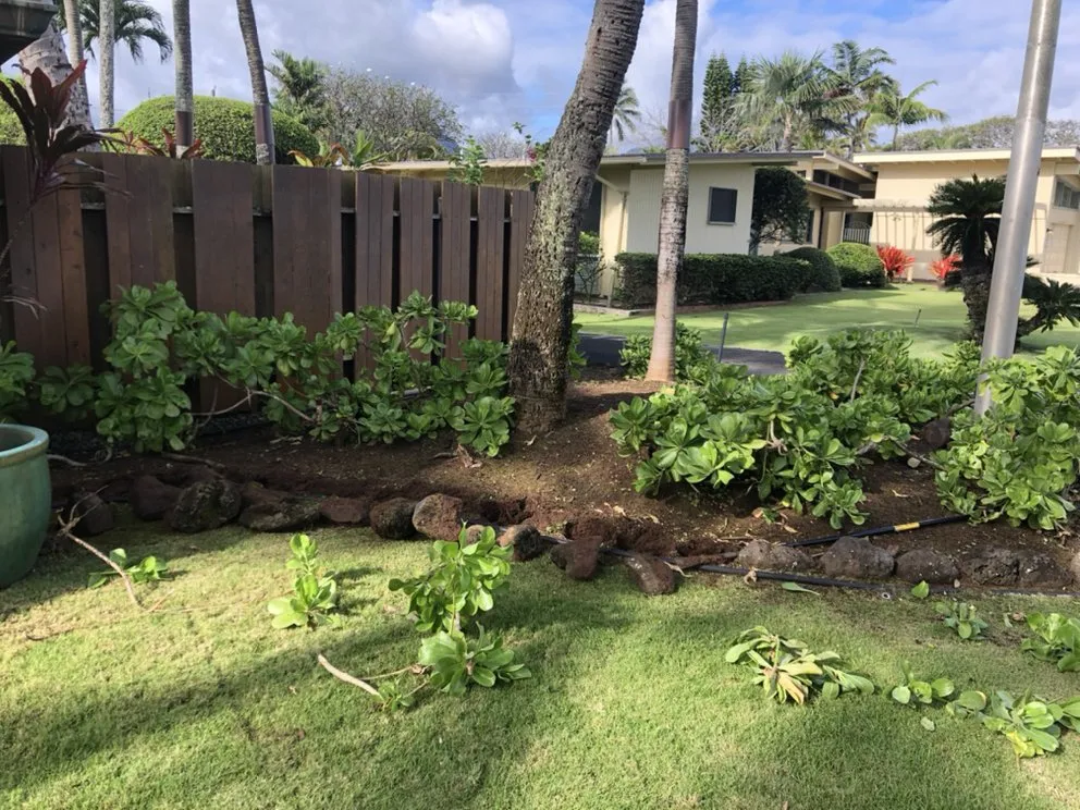 Trusted landscaping services in Honolulu, HI - AZ Yard Services