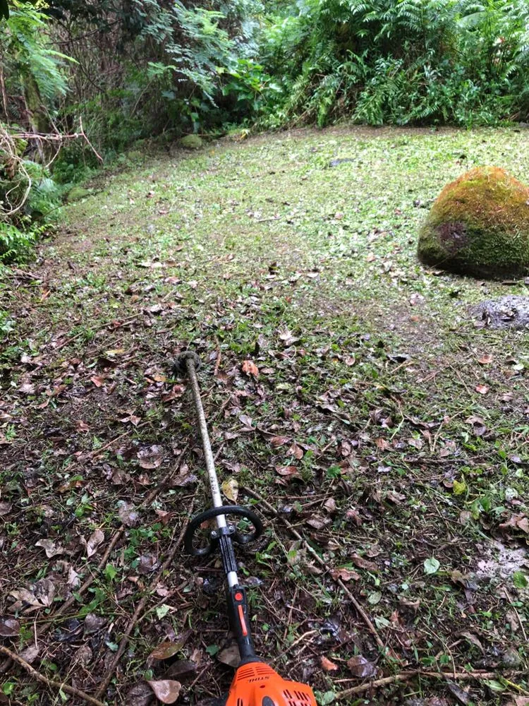 Top-rated yard maintenance experts serving Honolulu, HI - AZ Yard Services