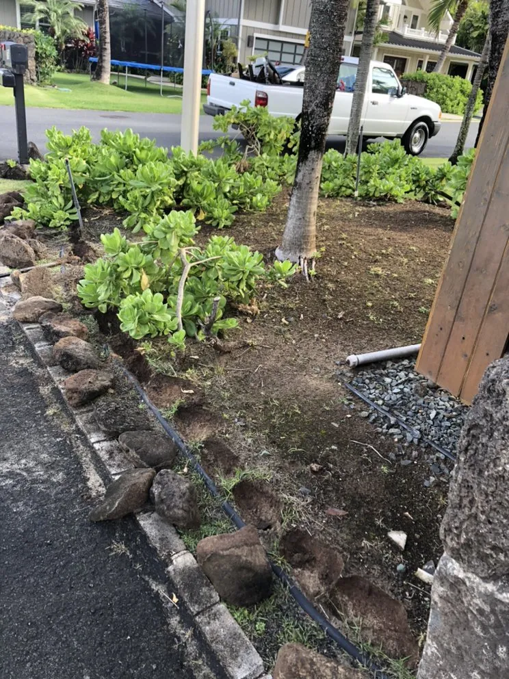 Top-rated lawn care service in Honolulu, HI by AZ Yard Services