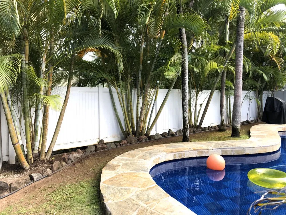 Professional residential landscaping with custom design in Honolulu, HI by AZ Yard Services