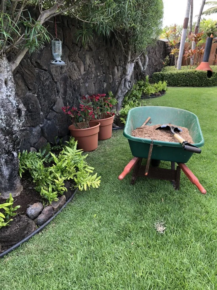 Affordable landscape design experts serving Honolulu, HI - AZ Yard Services