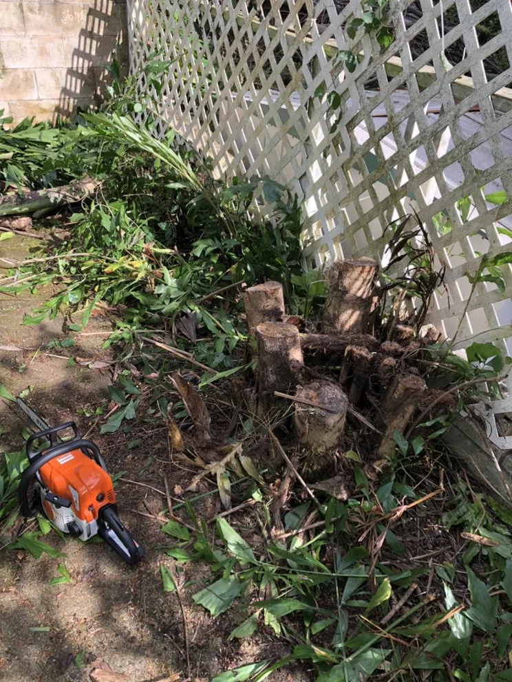 Trusted residential landscaping in Honolulu, HI by AZ Yard Services