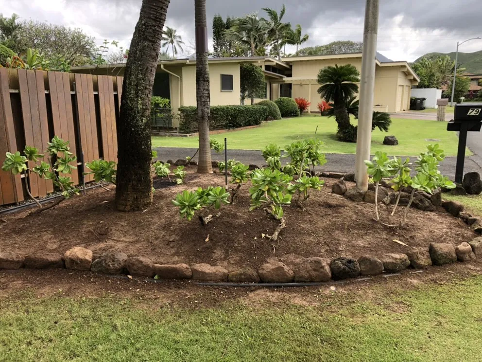 Custom landscape design experts serving Honolulu, HI - AZ Yard Services