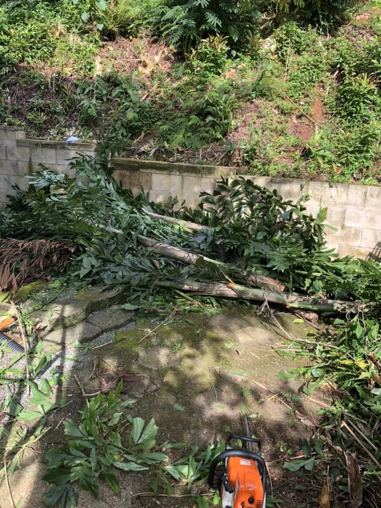 Expert residential landscaping in Honolulu, HI by AZ Yard Services