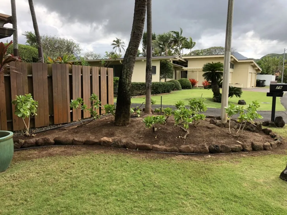 Local yard maintenance experts serving Honolulu, HI - AZ Yard Services