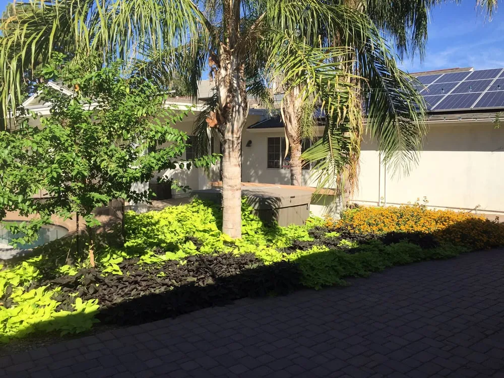 Professional outdoor landscaping experts serving Gilbert, AZ - AZ Yardscapes