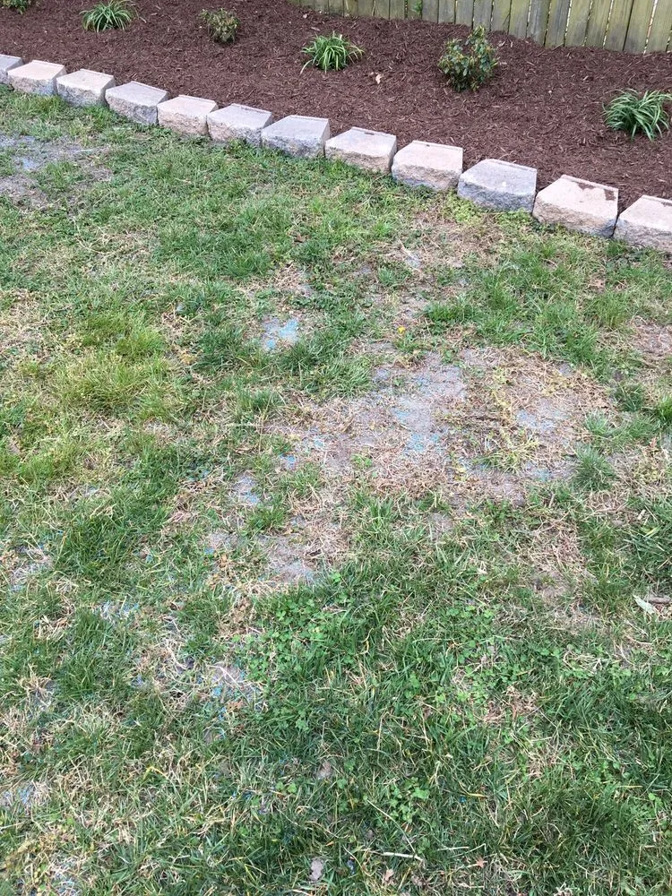 Custom landscape design in Norfolk, VA - Azalea Lawn and Landscaping