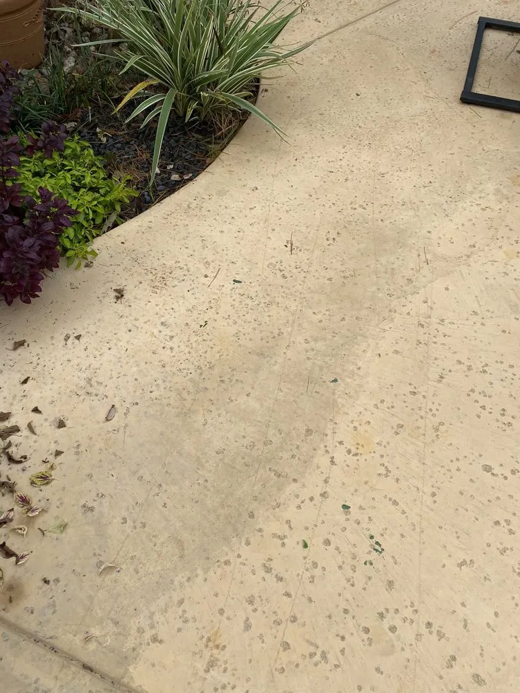 Expert residential landscaping in Tyler, TX by Azalea Pools