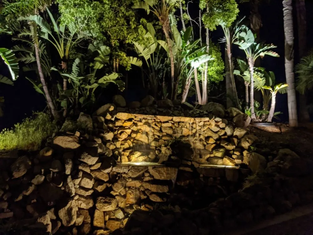 Top-rated residential landscaping for year-round maintenance in Vista, CA by Azaleawood