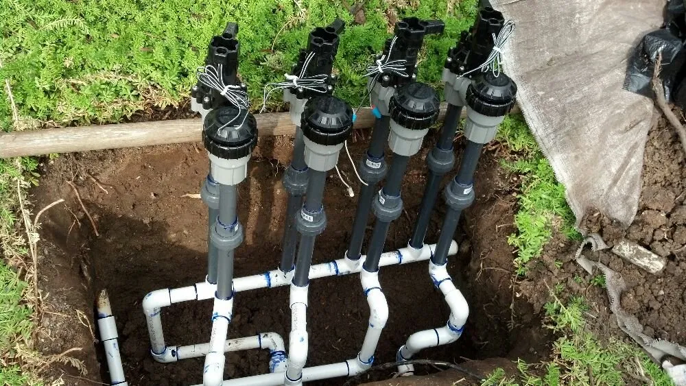 Expert yard maintenance for homes across Vista, CA - Azaleawood