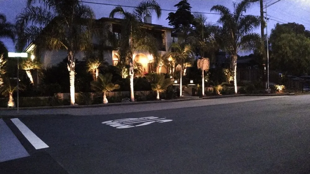 Top-rated yard cleanup service for outdoor upgrades across Vista, CA - Azaleawood