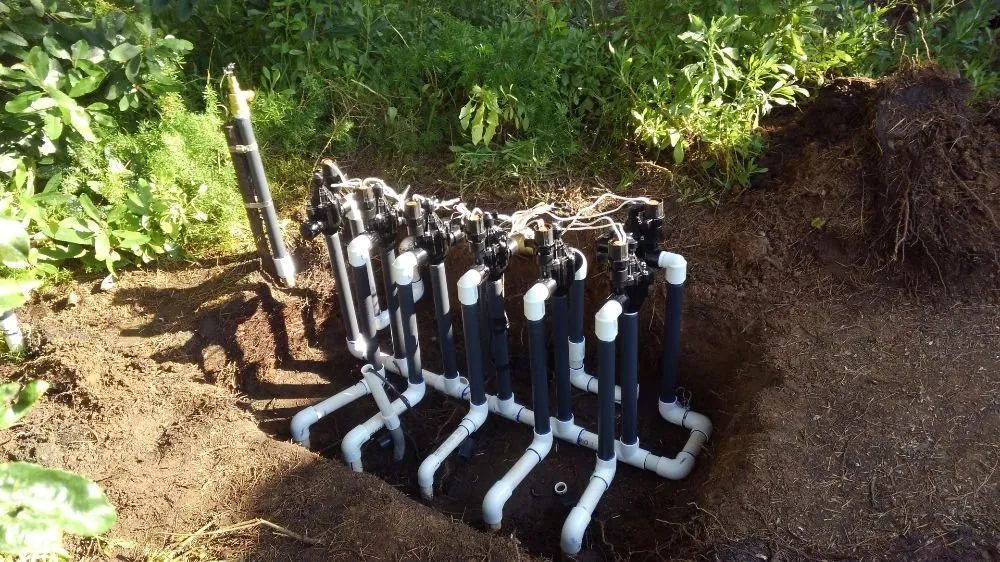 Top-rated outdoor landscaping in Vista, CA - Azaleawood