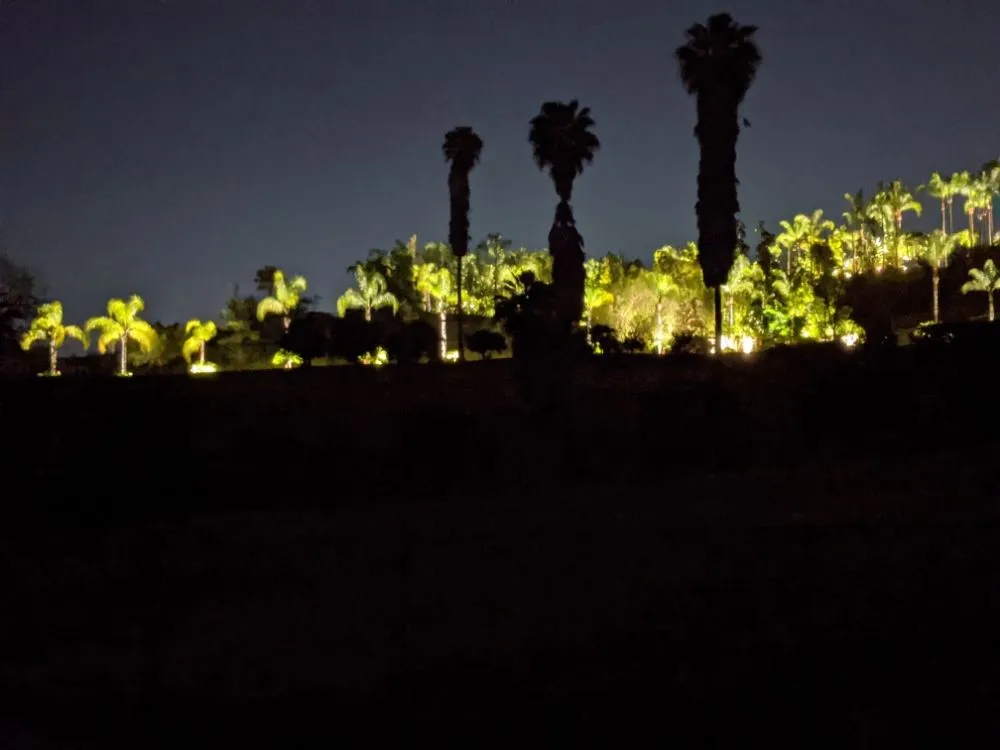 Expert landscape design in Vista, CA - Azaleawood