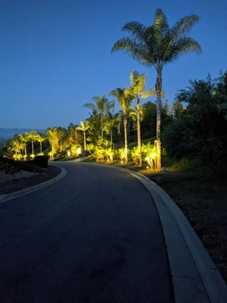 Professional landscape installation experts serving Vista, CA - Azaleawood