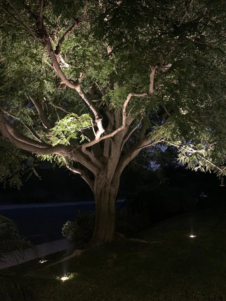 Local yard cleanup service for outdoor upgrades across Vista, CA - Azaleawood