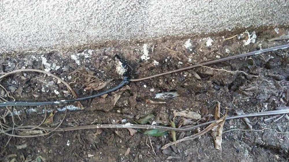 Reliable lawn mowing service experts serving Vista, CA - Azaleawood