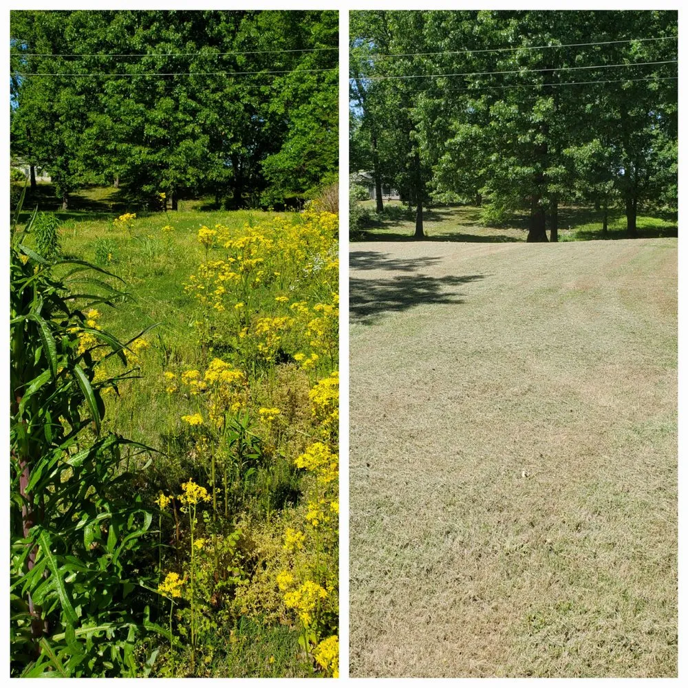 Custom yard maintenance in Covington, TN - Azap Landscape