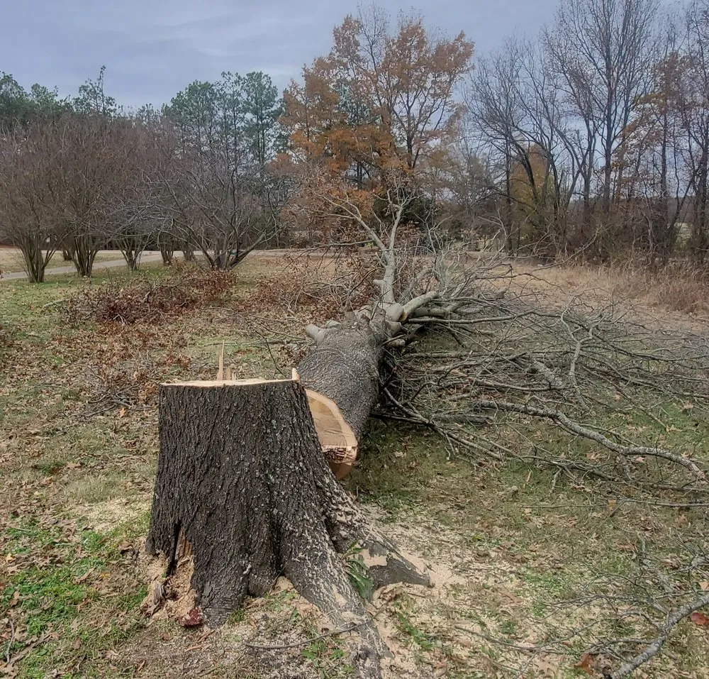 Affordable landscape design for outdoor upgrades in Covington, TN by Azap Landscape