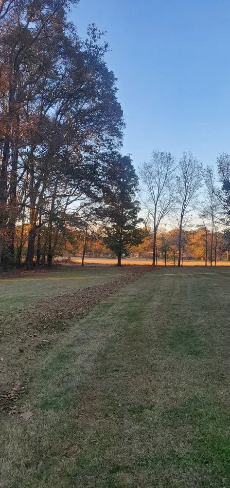 Custom garden landscaping for outdoor upgrades across Covington, TN - Azap Landscape