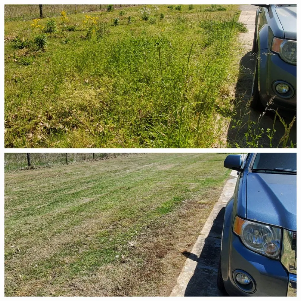 Trusted landscape design in Covington, TN - Azap Landscape