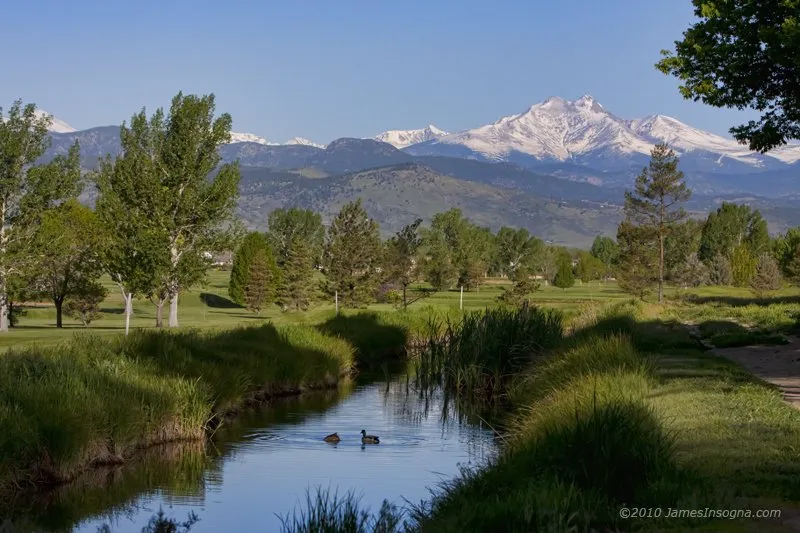Local landscape design in St. George, UT by AZC Tree Removal