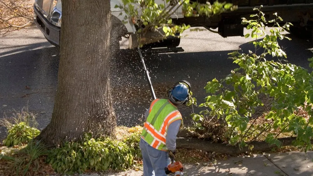 Expert lawn mowing service in St. George, UT - AZC Tree Removal