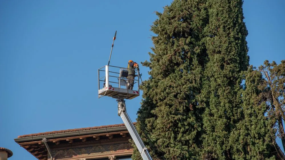 Local residential landscaping in St. George, UT by AZC Tree Removal