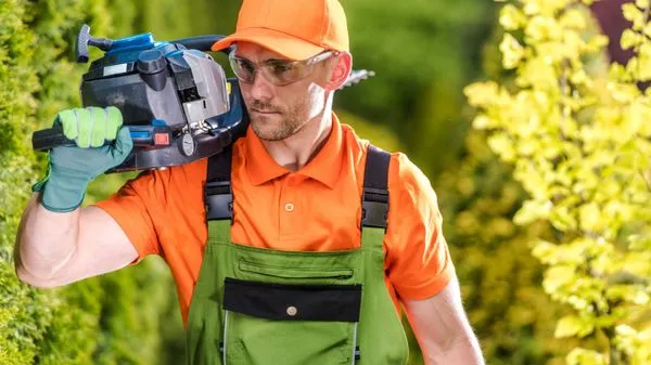 AZC Tree Removal Logo