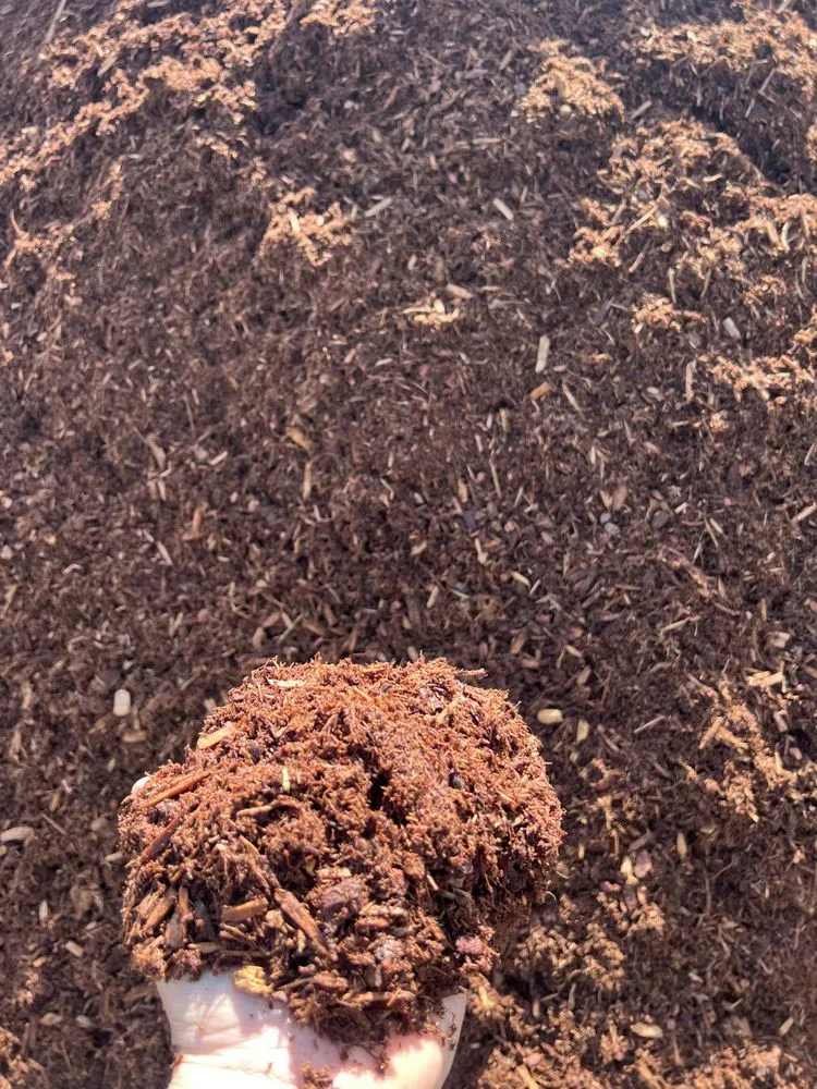 Local landscape design for residential properties in East Greenwich, RI by Azeredo Landscaping