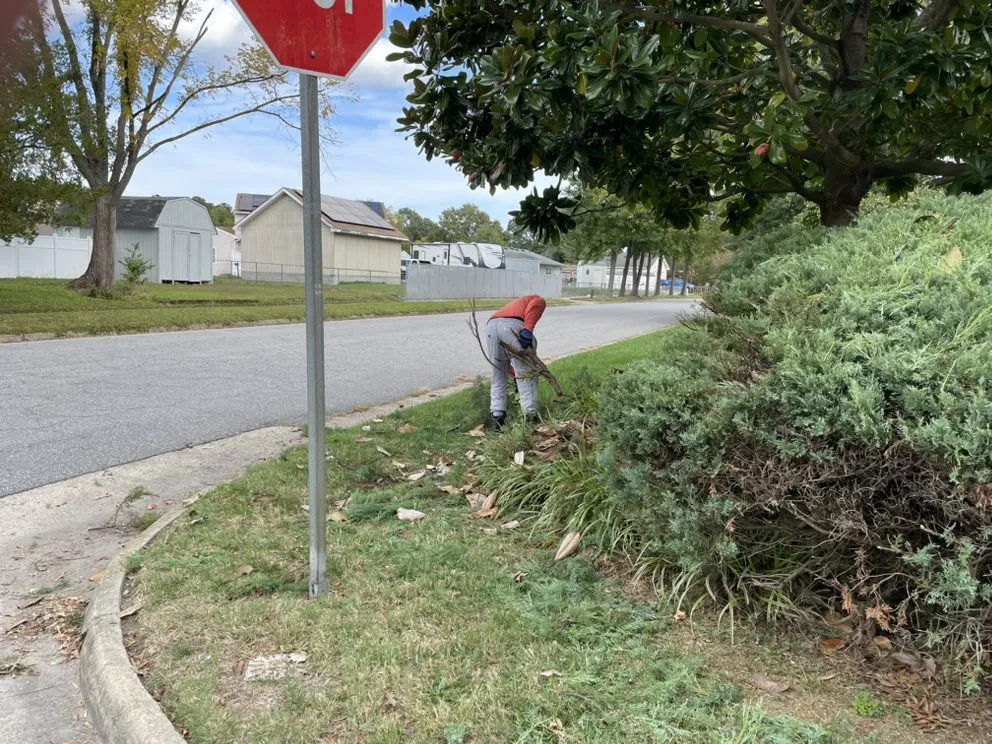 Professional lawn mowing service for beautiful yards in Norfolk, VA by AZHScapes