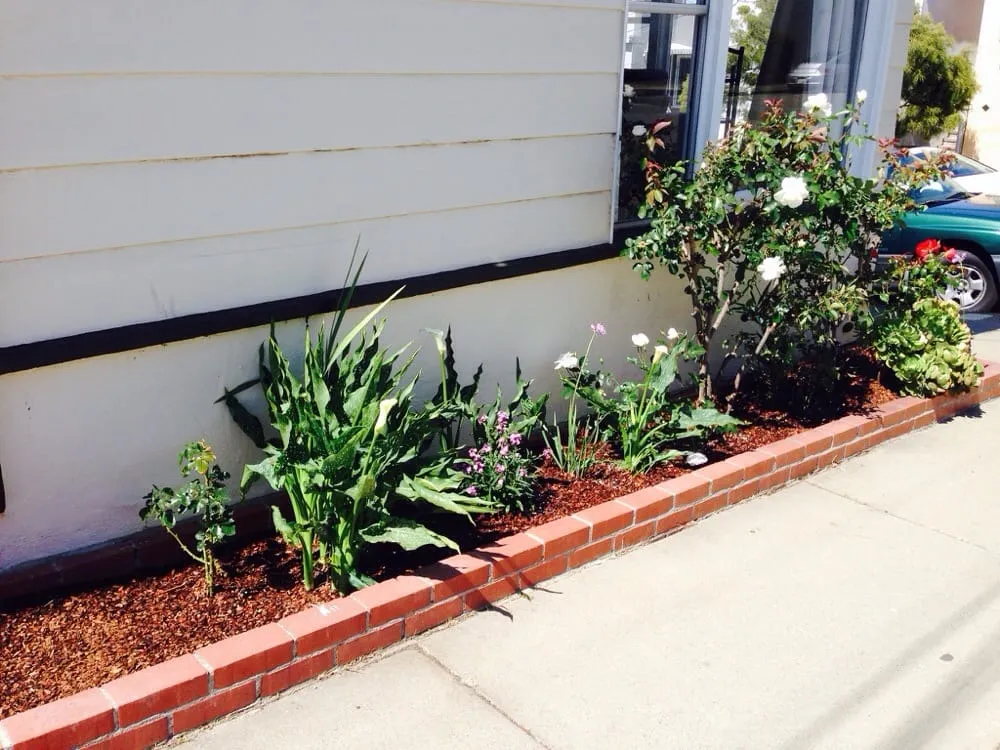 Expert landscape installation for outdoor upgrades in San Francisco, CA by Azimut-Trees and Garden Services