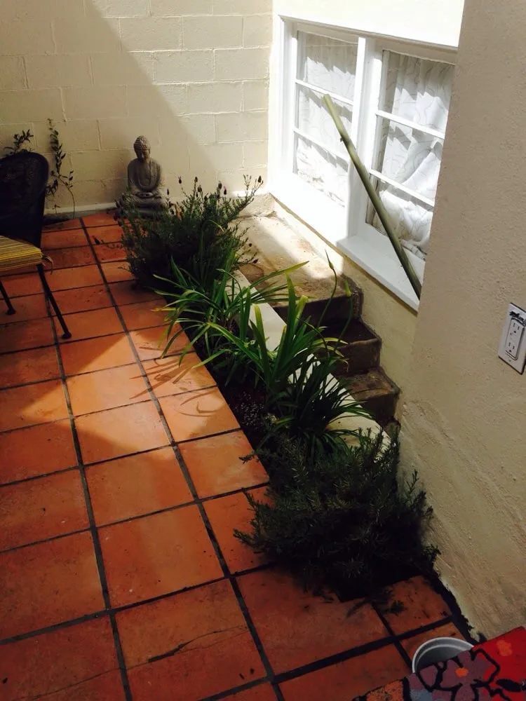 Custom yard cleanup service with custom design in San Francisco, CA by Azimut-Trees and Garden Services