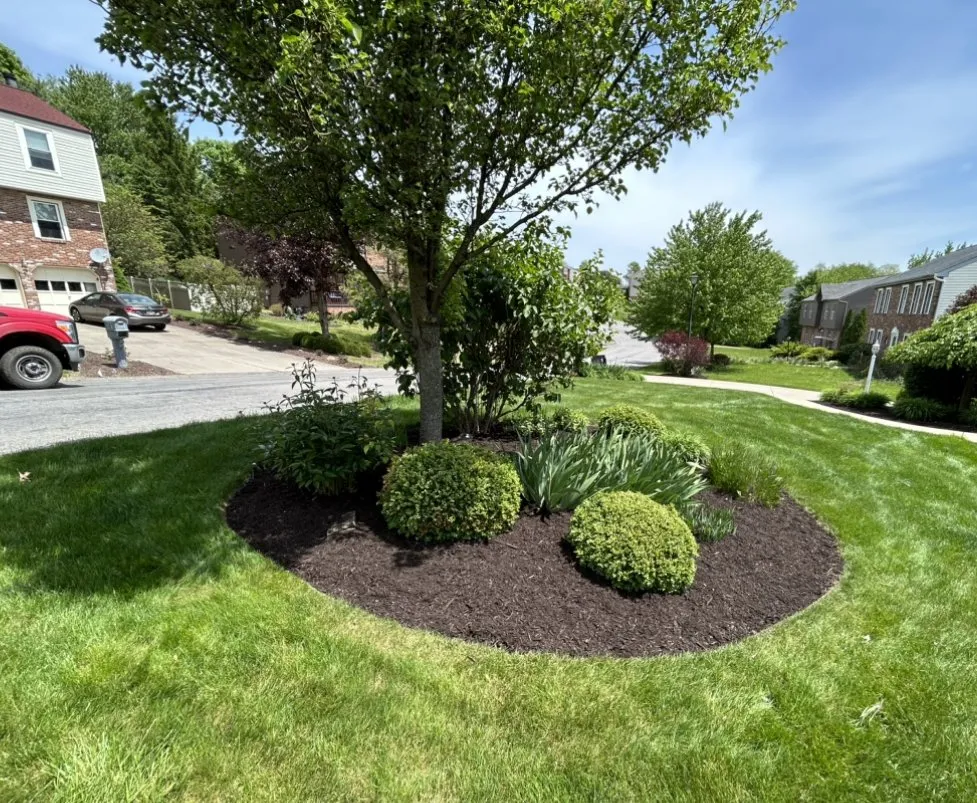 Local yard cleanup service near you in Upper Saint Clair, PA by AZL Land Management