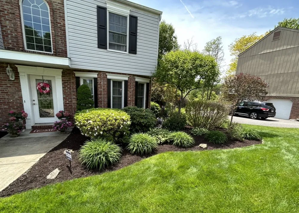 Affordable yard cleanup service in Upper Saint Clair, PA - AZL Land Management
