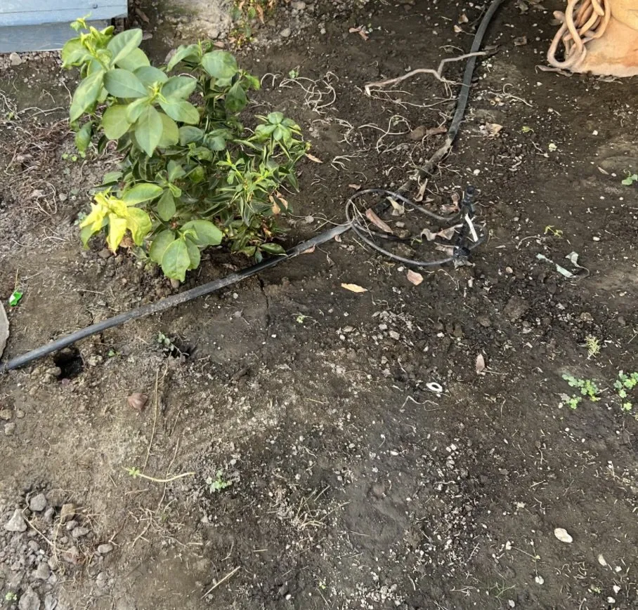 Trusted lawn mowing service for outdoor upgrades across Tulare, CA - Azores Landscaping