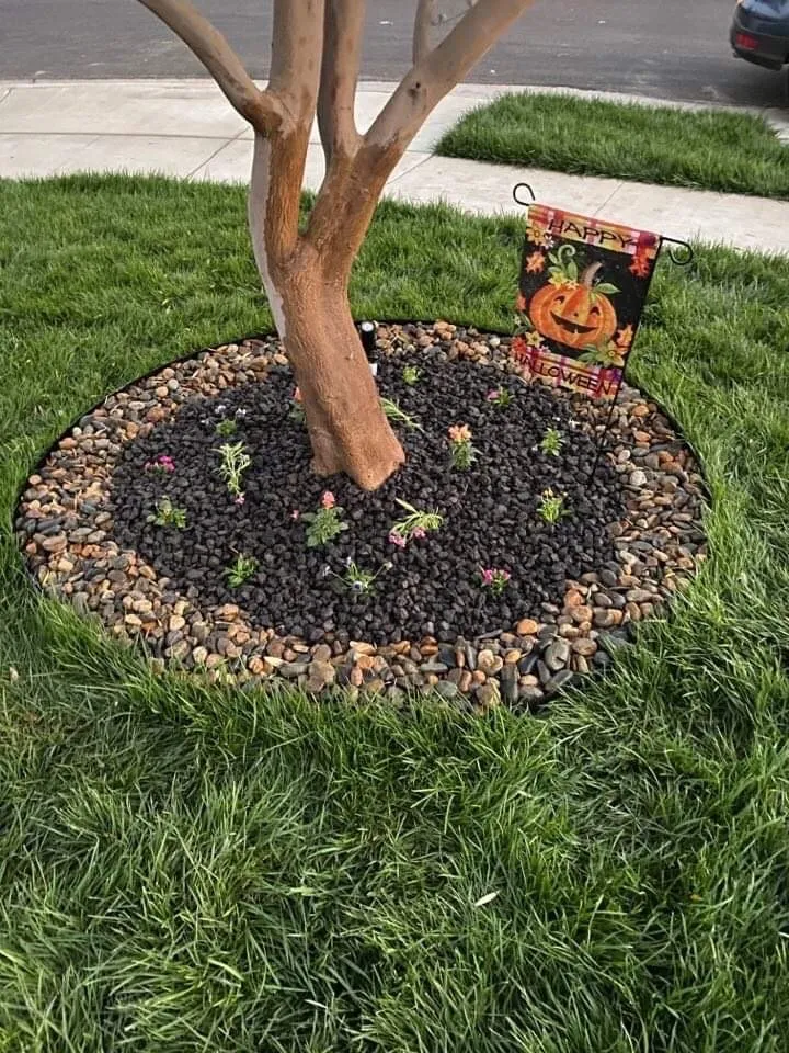 Trusted lawn care service experts serving Tulare, CA - Azores Landscaping