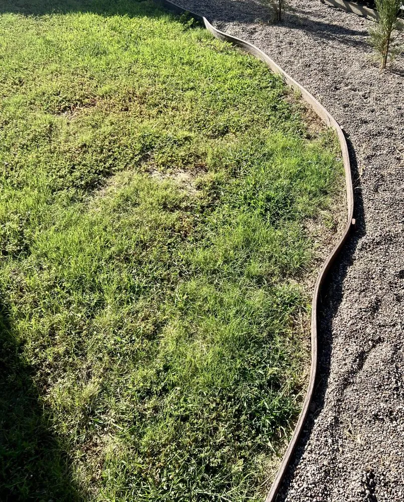 Expert yard maintenance in Tulare, CA - Azores Landscaping