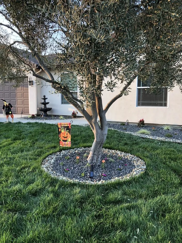 Local outdoor landscaping for homes in Tulare, CA by Azores Landscaping