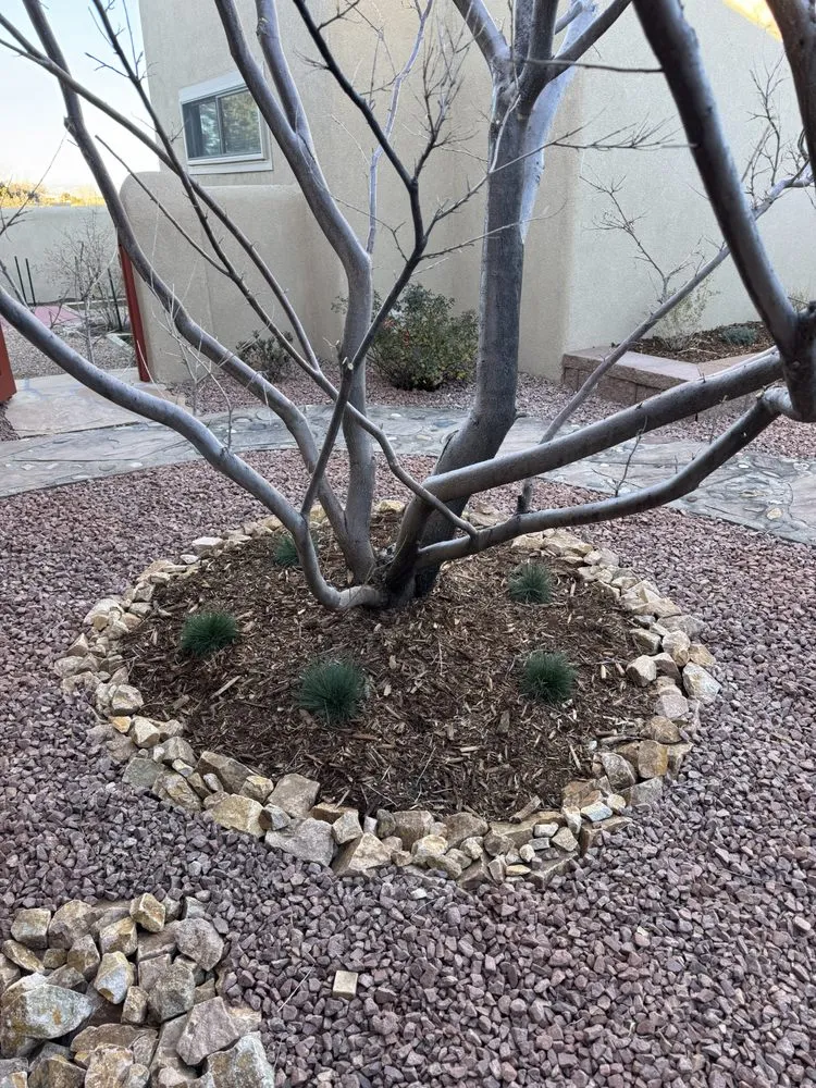 Expert landscape installation in Albuquerque, NM by AZR Landscape & Construction