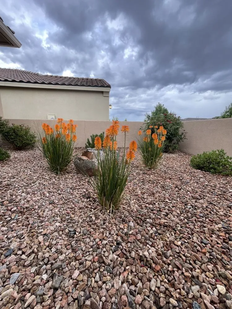 Trusted residential landscaping for homes in Albuquerque, NM by AZR Landscape & Construction