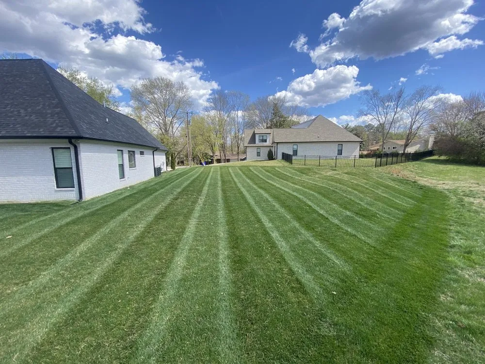 Custom landscape installation in Knoxville, TN by Aztec Landscape & Design