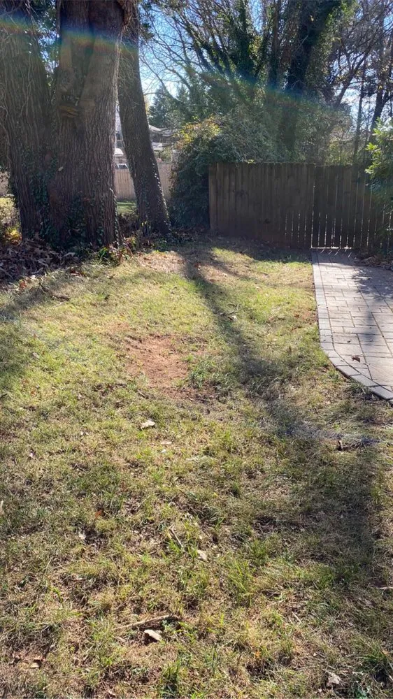 Affordable landscape installation near you in Knoxville, TN by Aztec Landscape & Design