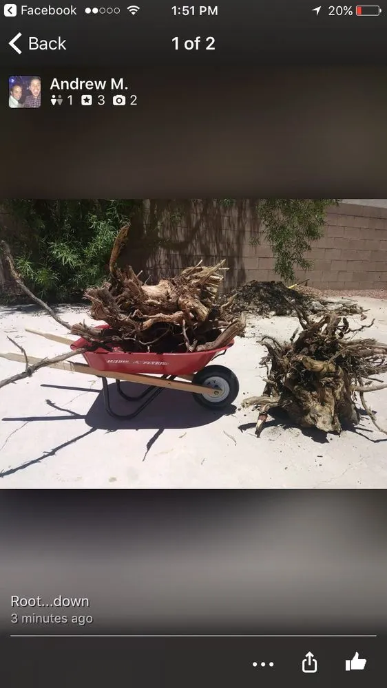 Top-rated outdoor landscaping for outdoor upgrades in Henderson, NV by Aztec Landscape Services