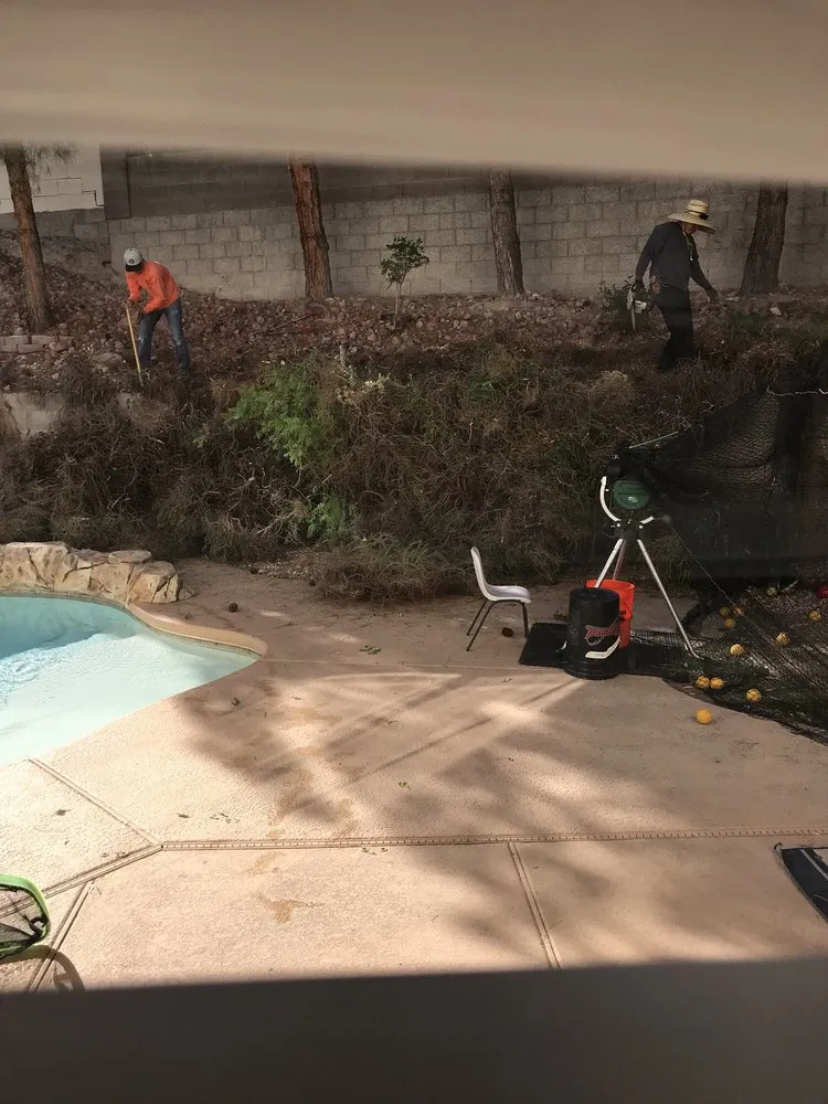 Custom residential landscaping experts serving Henderson, NV - Aztec Landscape Services