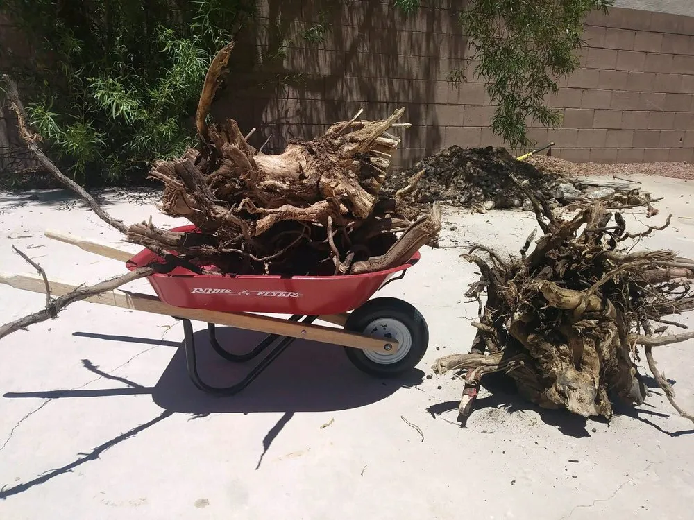 Affordable residential landscaping in Henderson, NV by Aztec Landscape Services