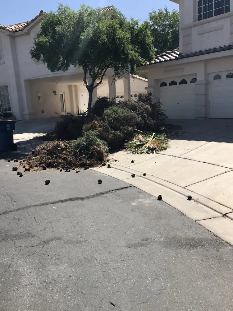 Top-rated residential landscaping in Henderson, NV by Aztec Landscape Services