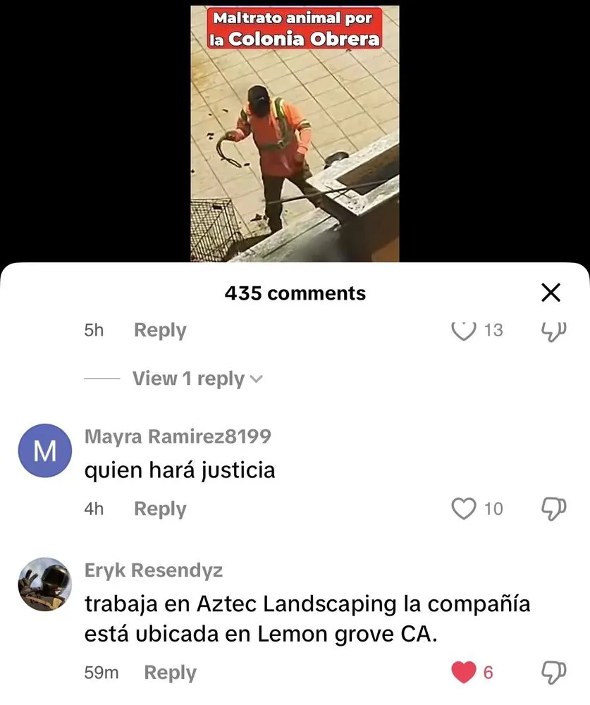 Top-rated lawn care service for beautiful yards across Lemon Grove, CA - Aztec Landscaping